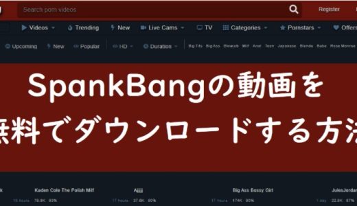 SpankBangからアダルト動画を無料でダウンロードする方法