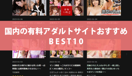 国内の有料アダルトサイトおすすめBEST10！動画の保存方法も￼